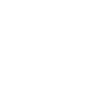 AutoEvolv AI logo